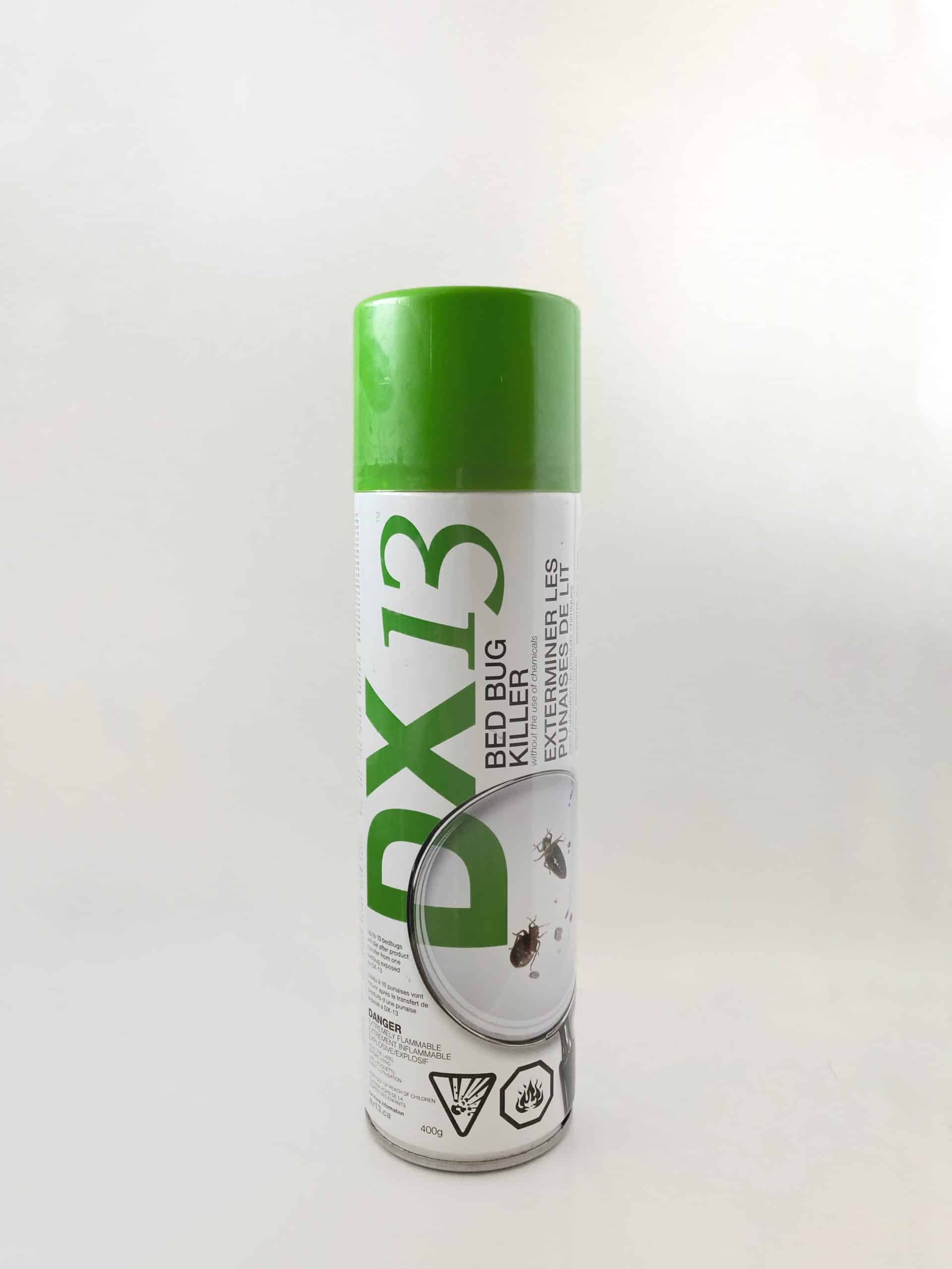 DX 13